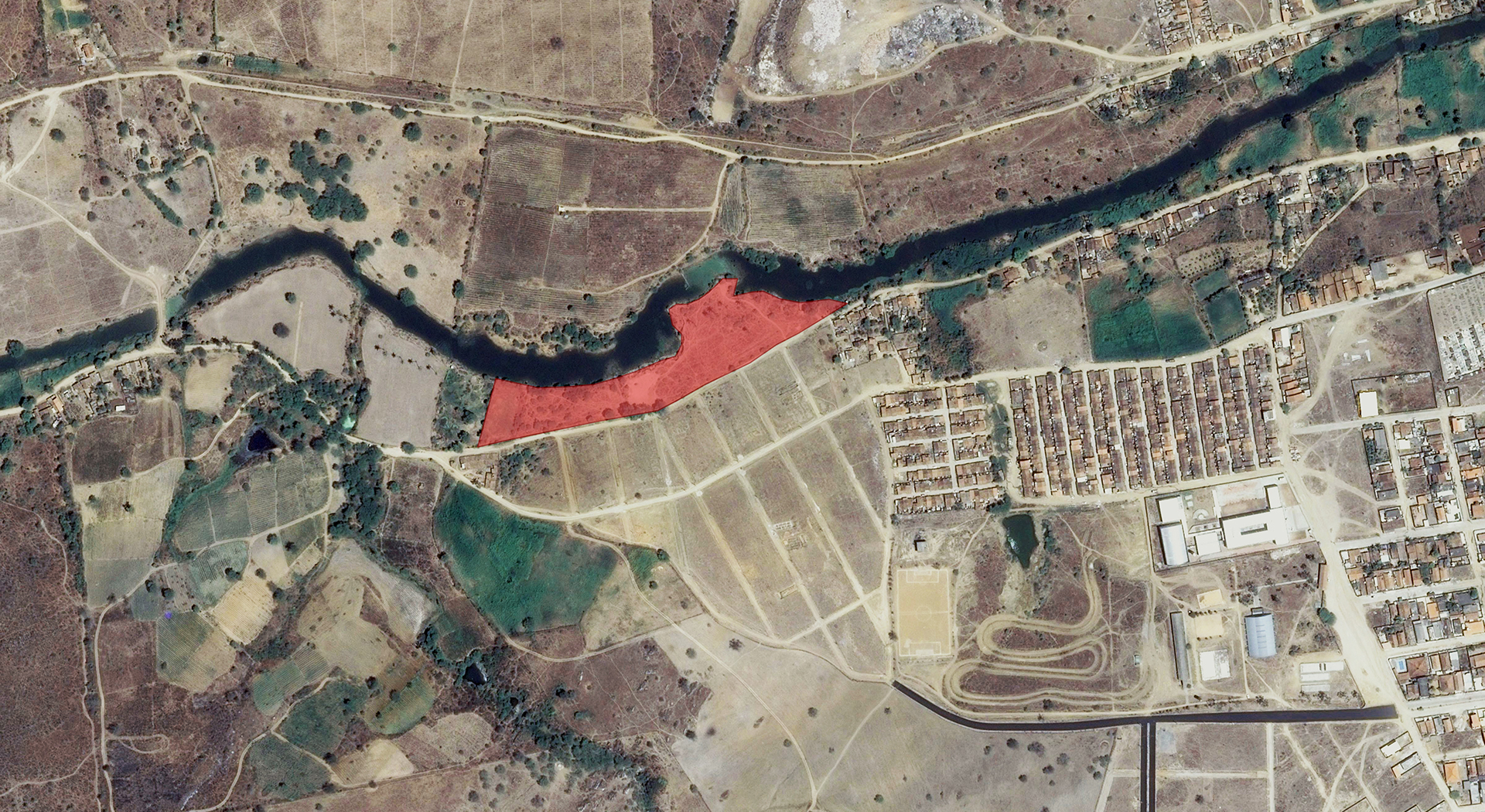 Bezerros_implantacao