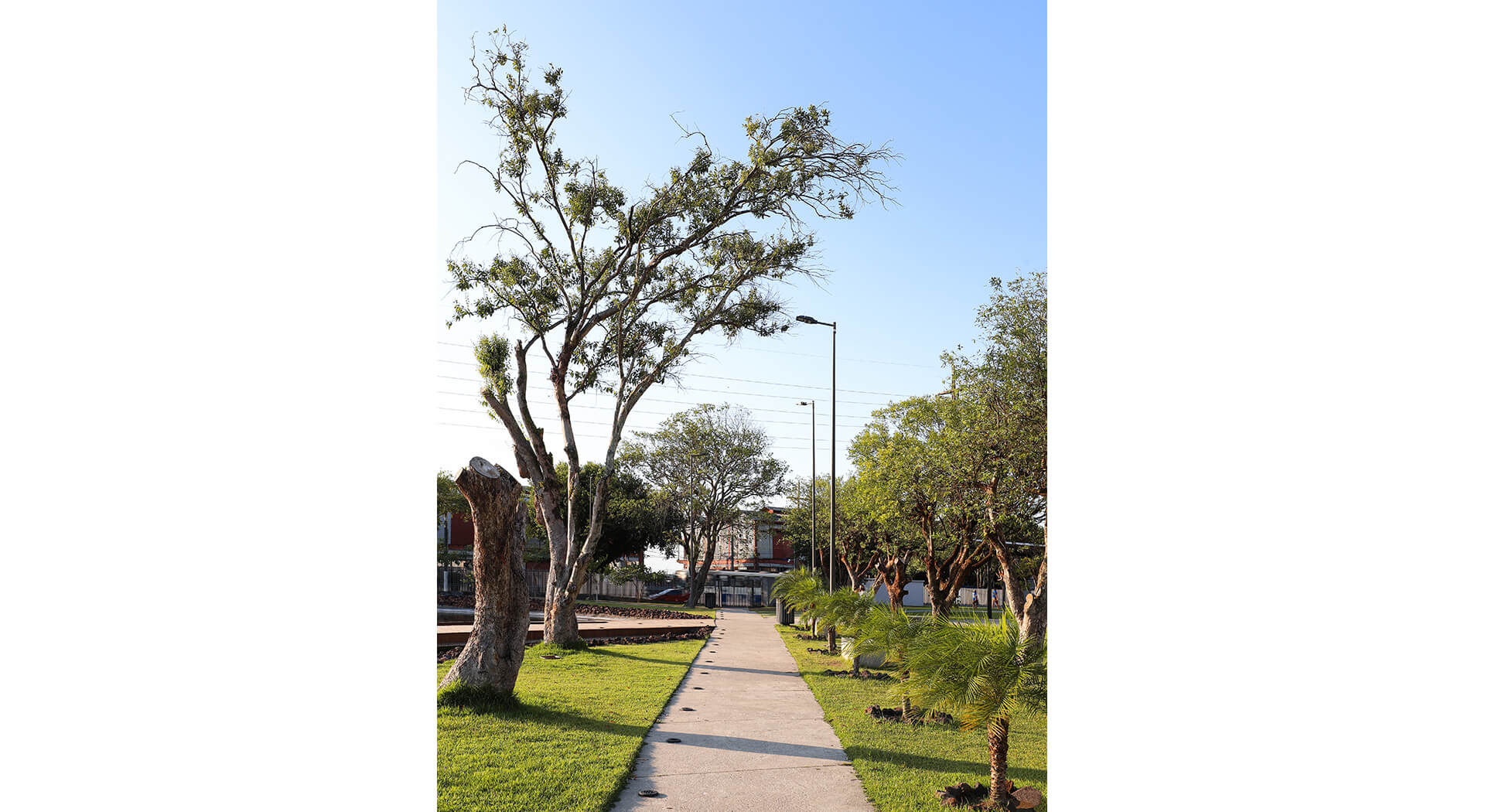 34-Parque-futuro-belem